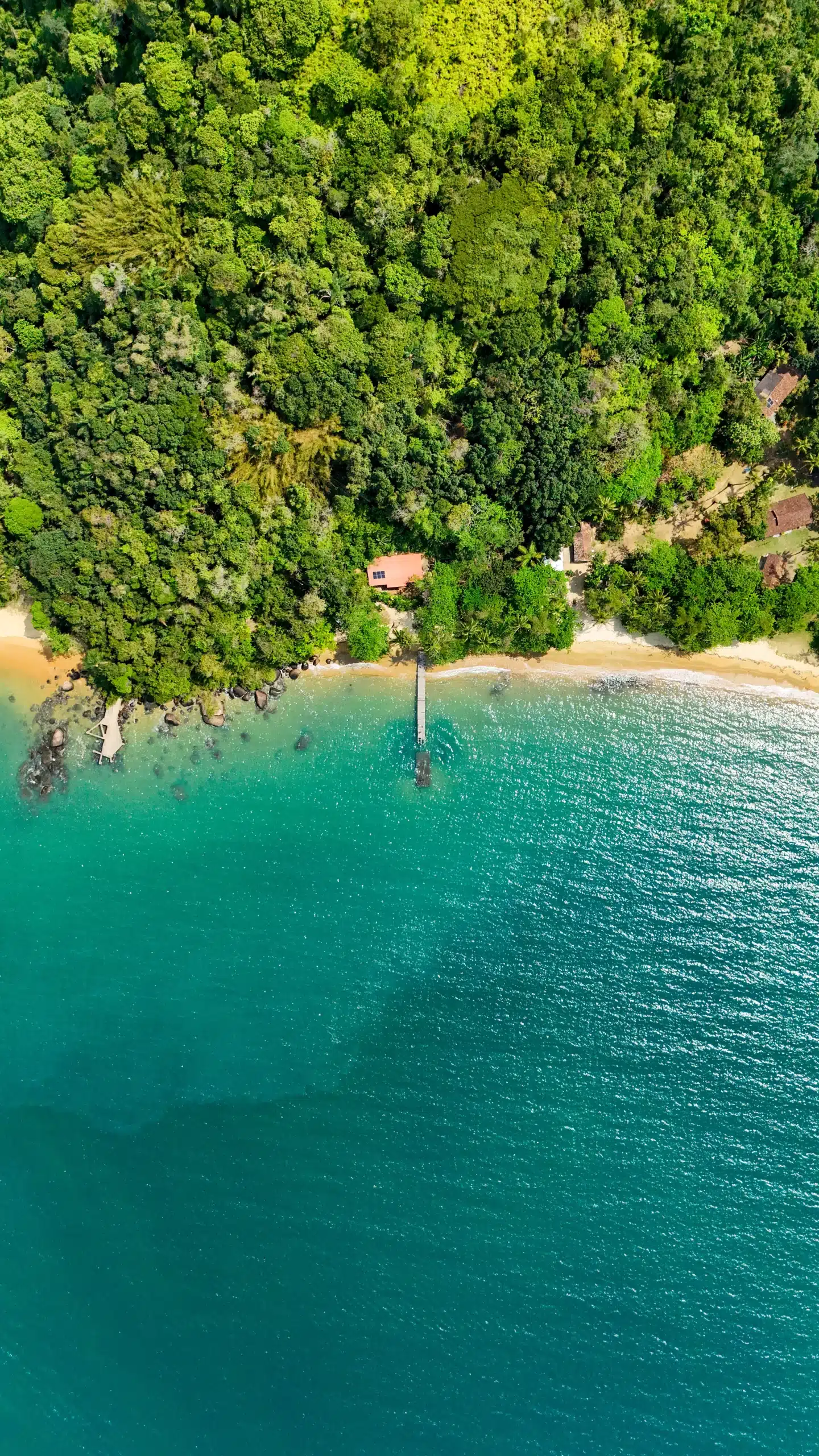 Point de vue Ilha Grande